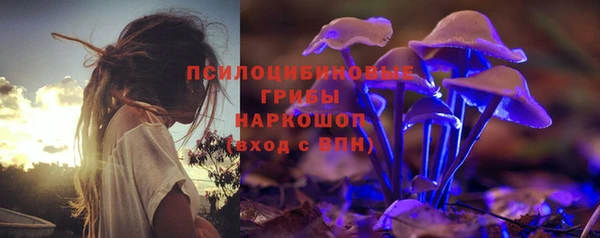 сатива Верхний Тагил