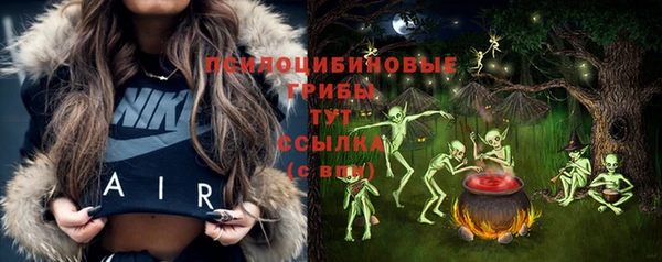 сатива Верхний Тагил