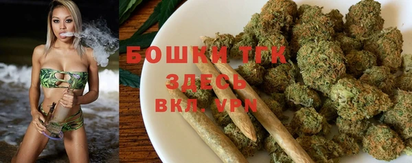 сатива Верхний Тагил
