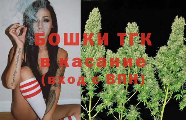 сатива Верхний Тагил