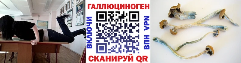 Псилоцибиновые грибы мицелий  Каргат 